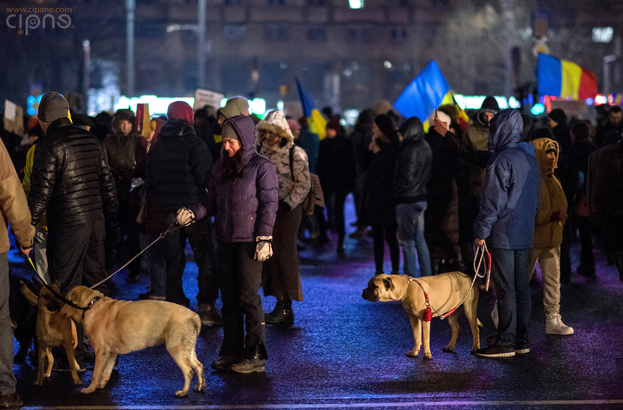 7 februarie 2017 - București, Piața Victoriei