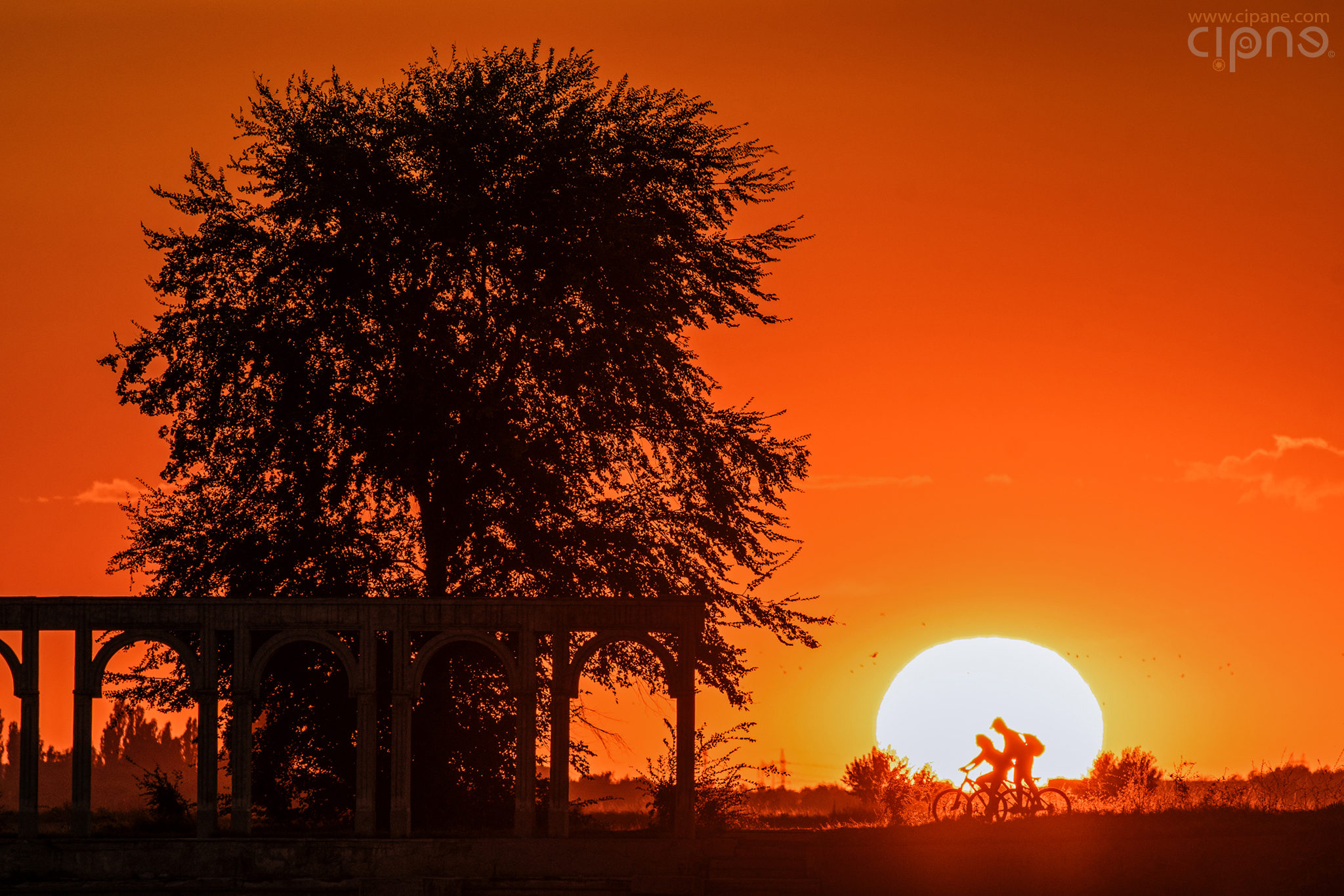 Children of the Sun