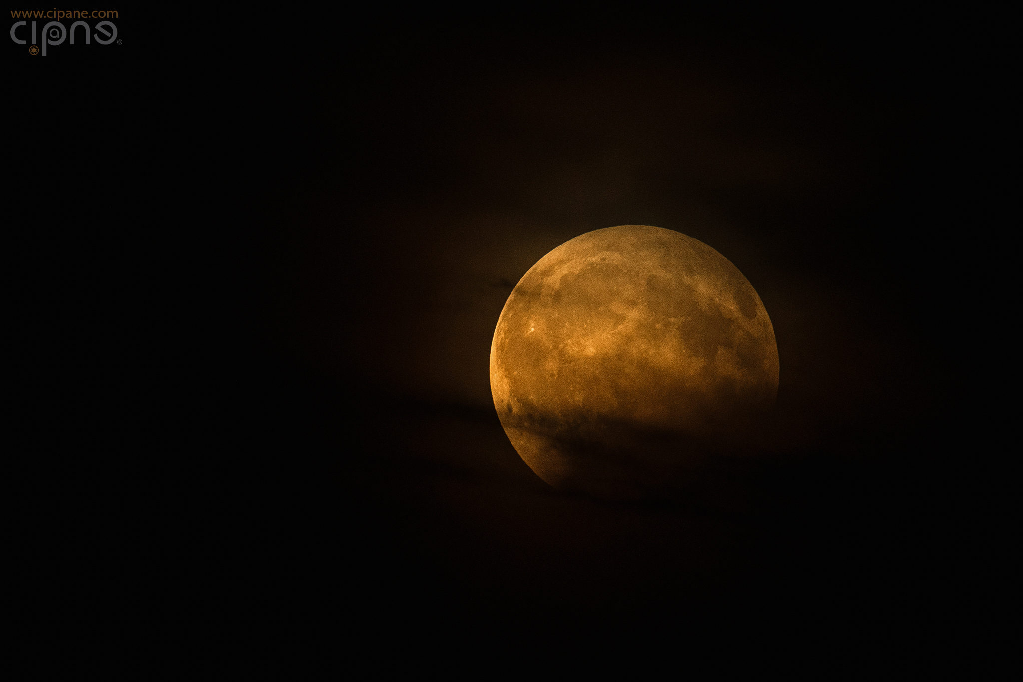 Opus Eclipse