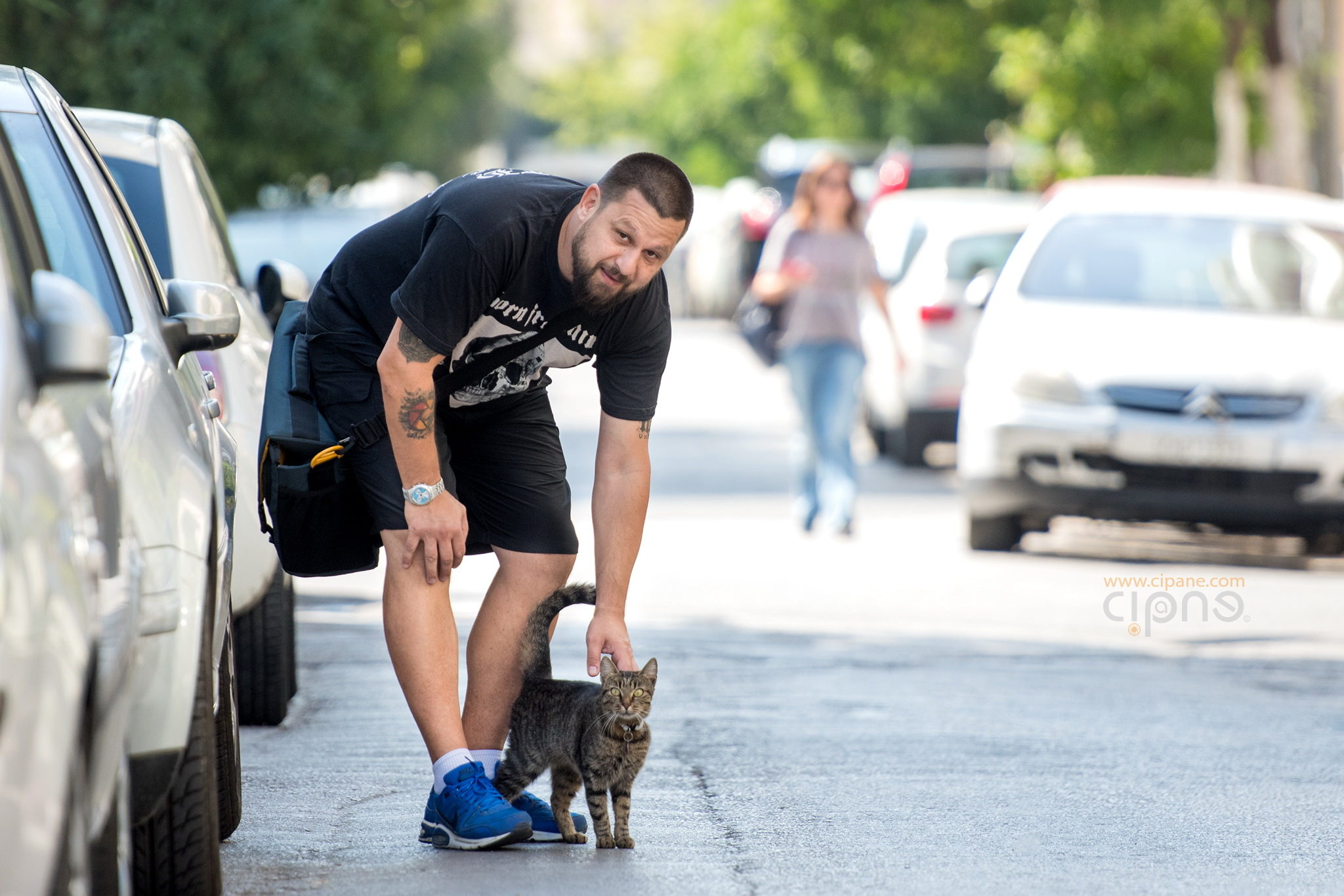 Cat Charmer