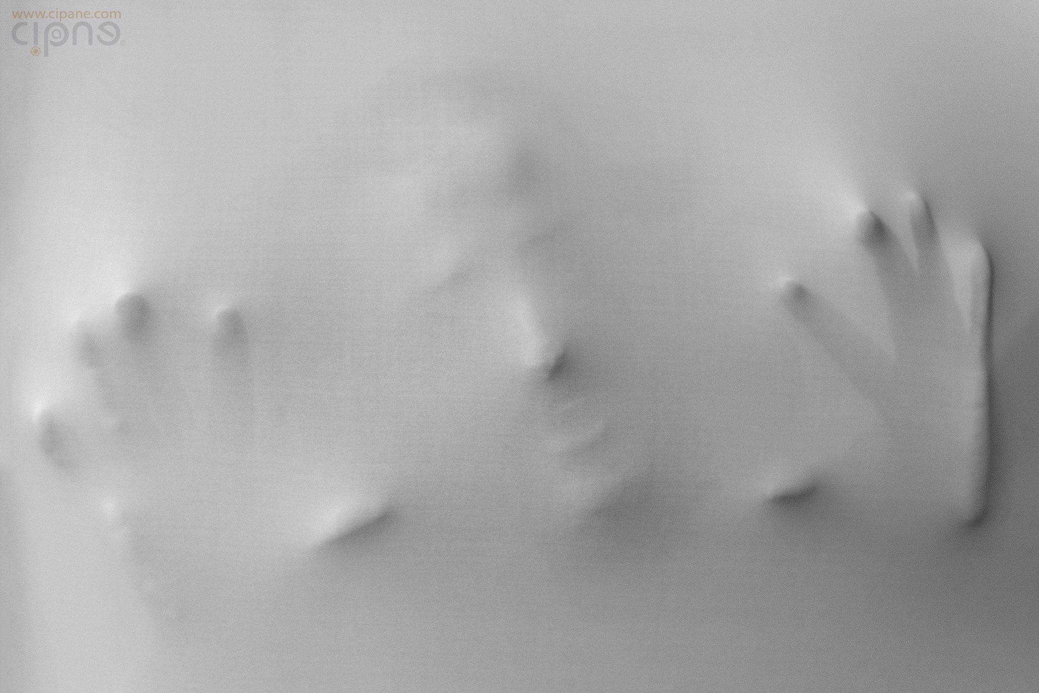 Shadow On the Wall