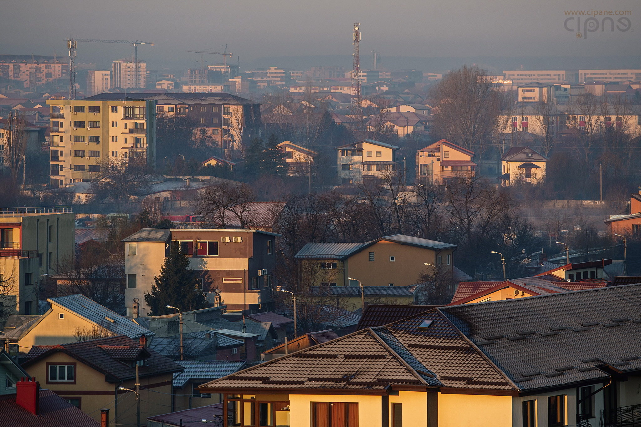 Militari Splendor