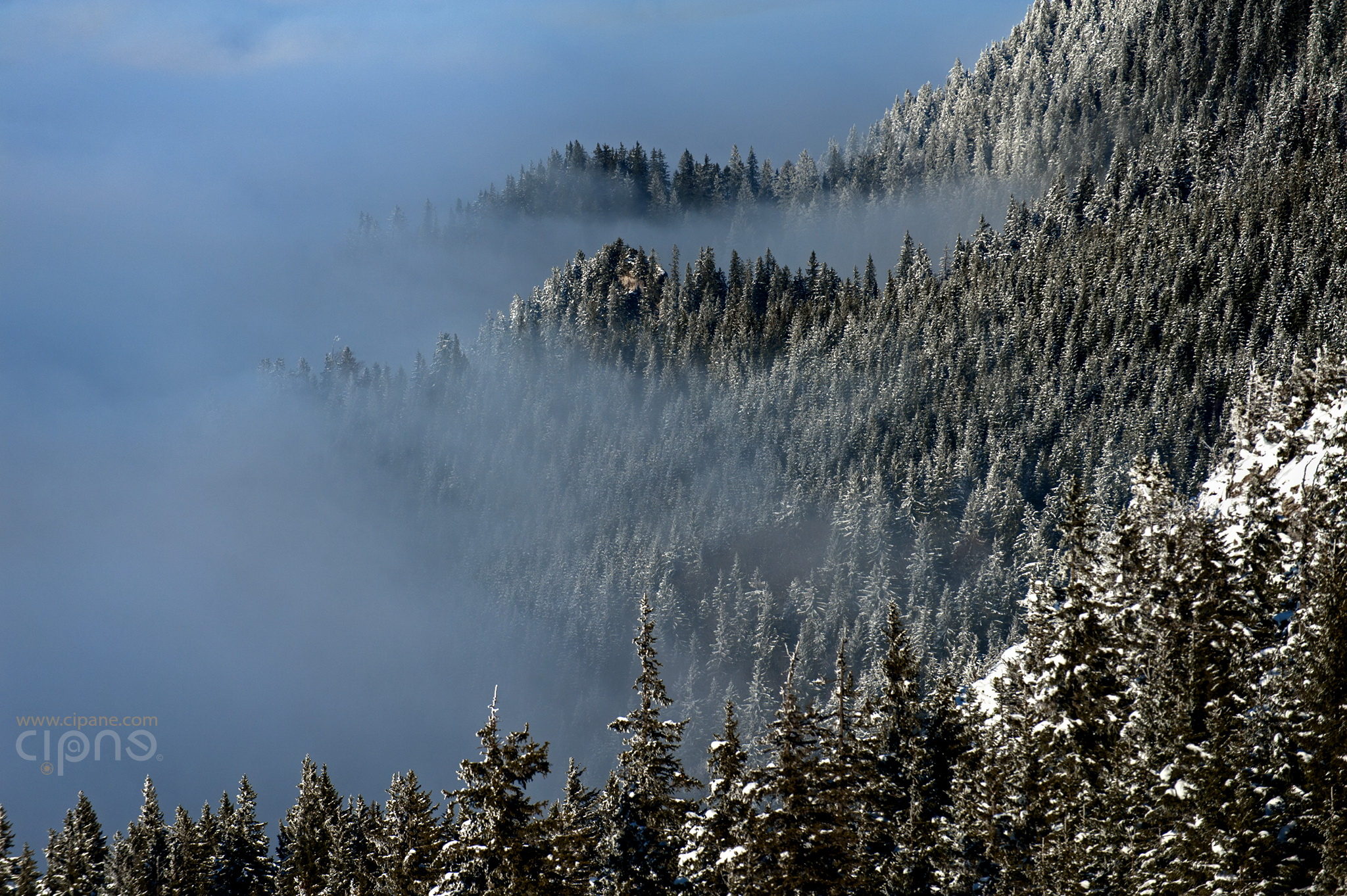 Season of Mist