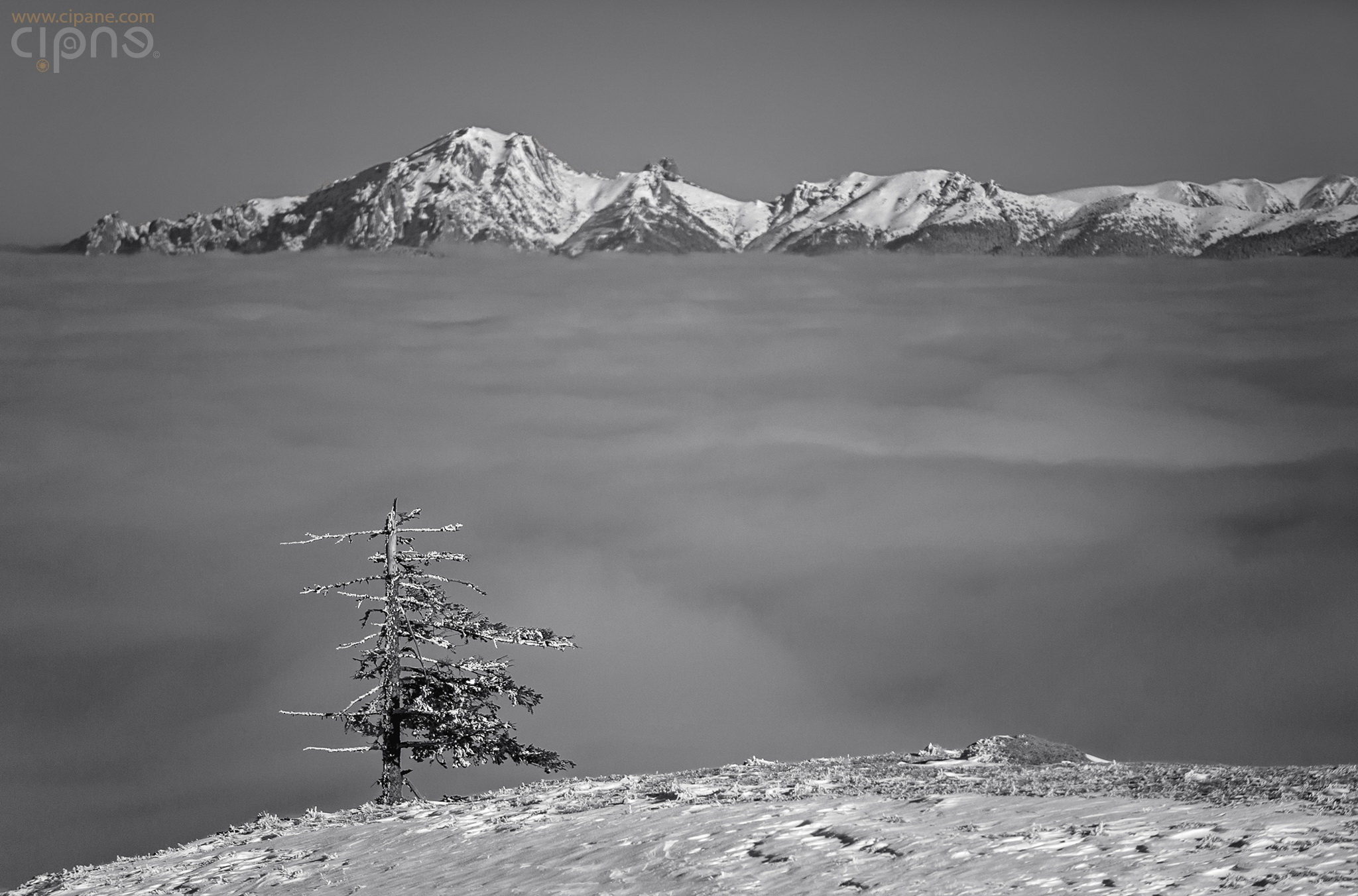 Edge of the Abyss