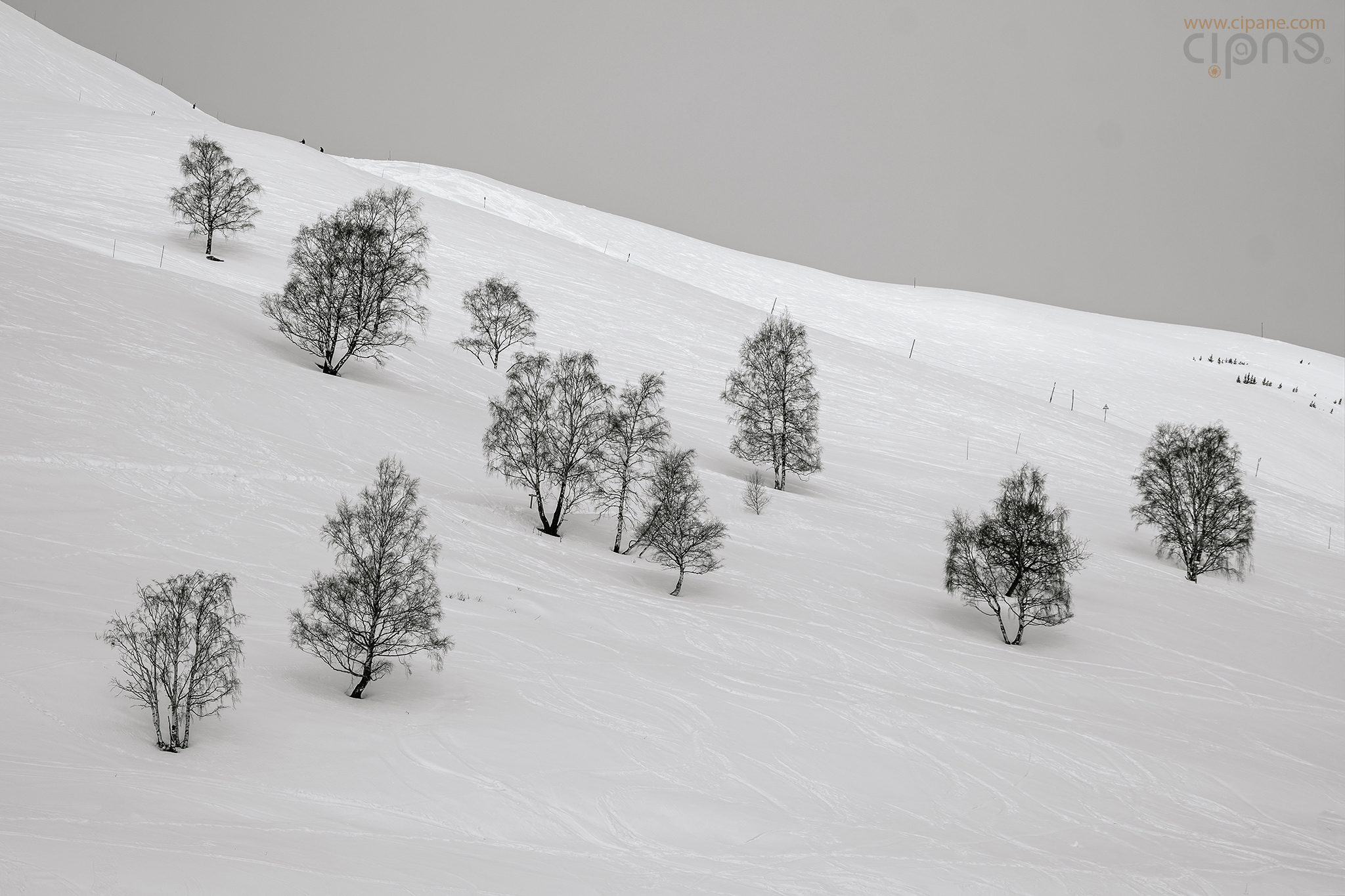 SnowFest 2018 - 28 martie 2018 - Les 2 Alpes, France