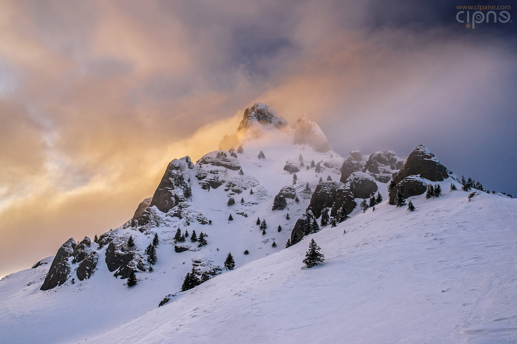 Gold & Cold