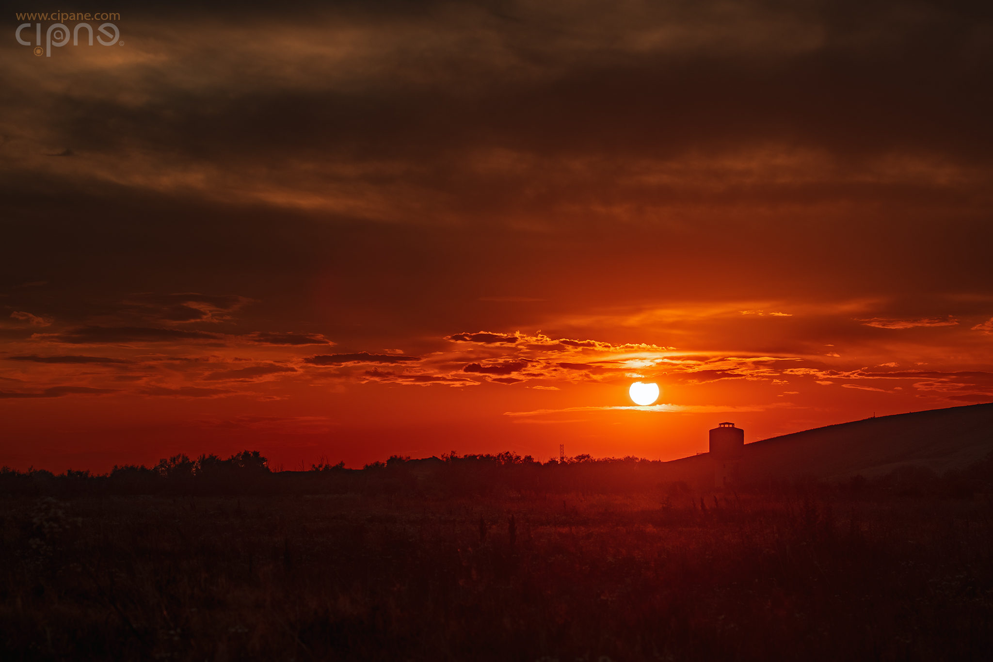 Sleepy Sun