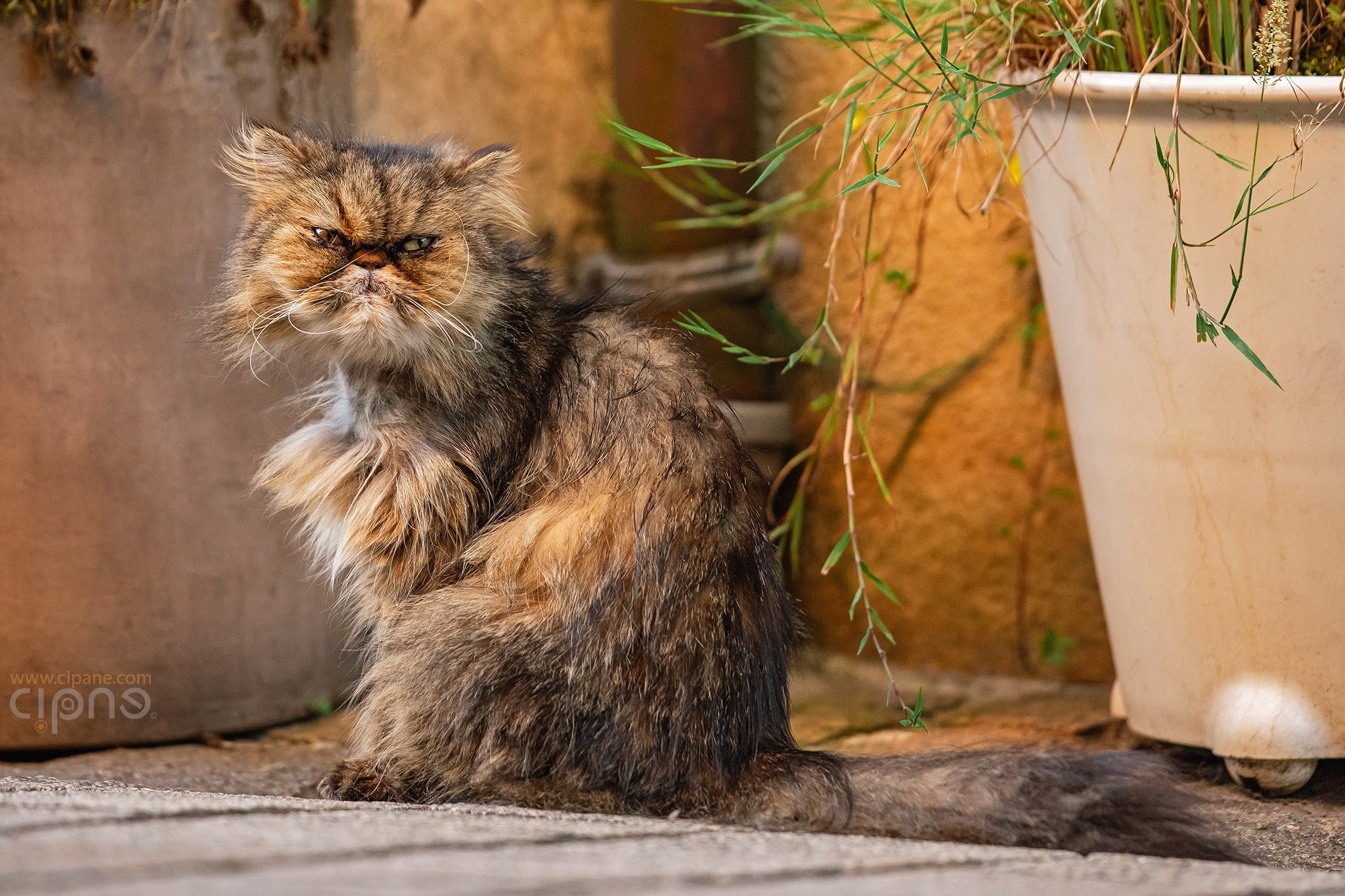 You talkin' to me?