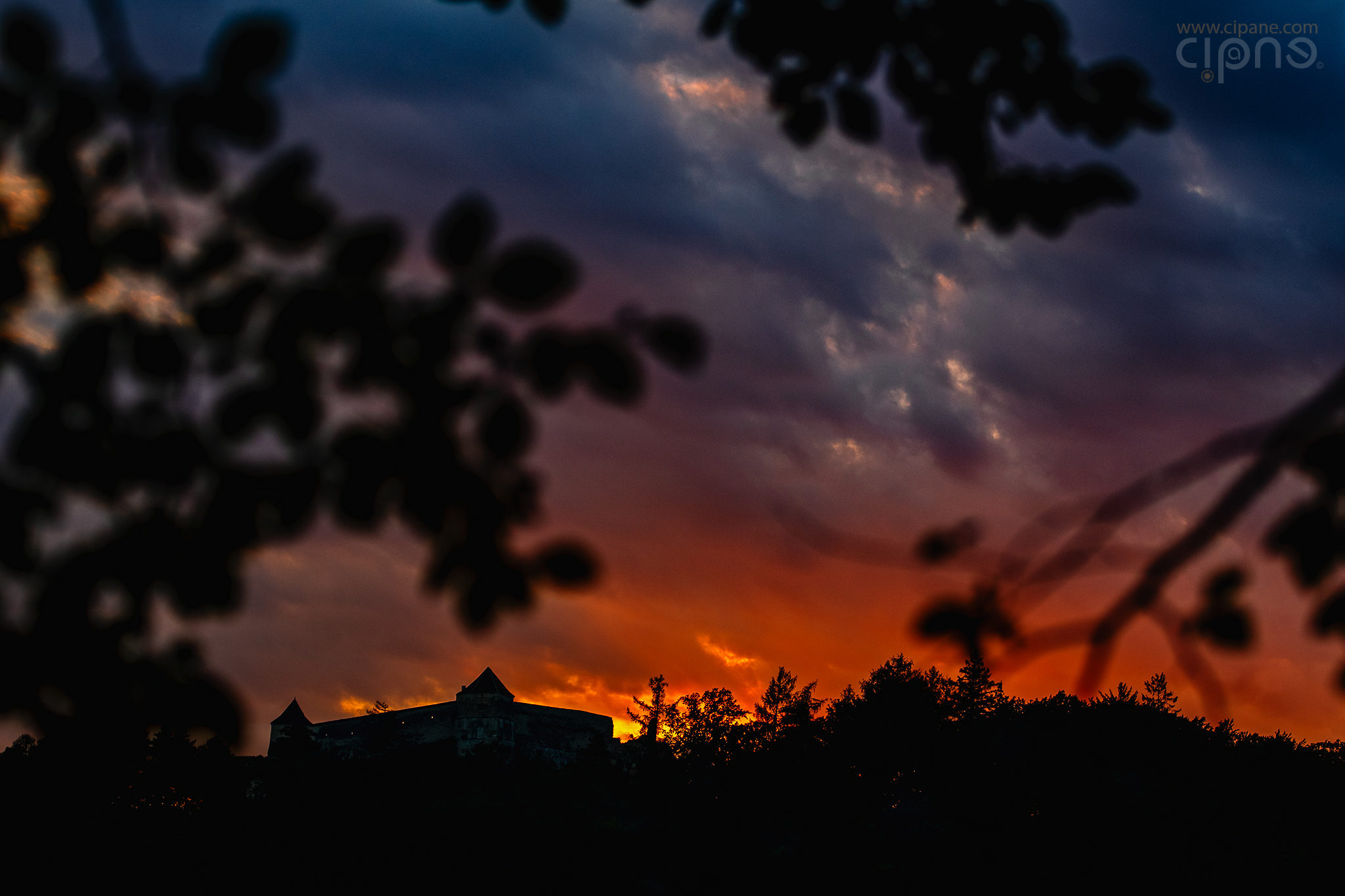 From Rosenau, with love
