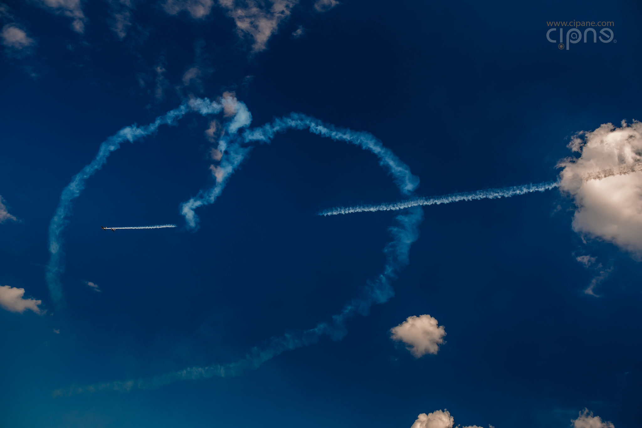 Shot through the heart