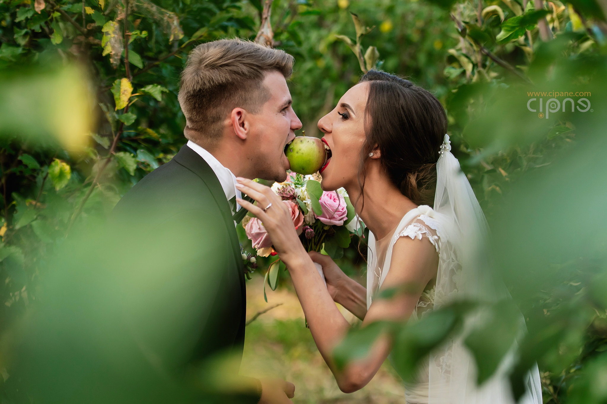Alina & Cristian - 18 august 2018 - Brădești