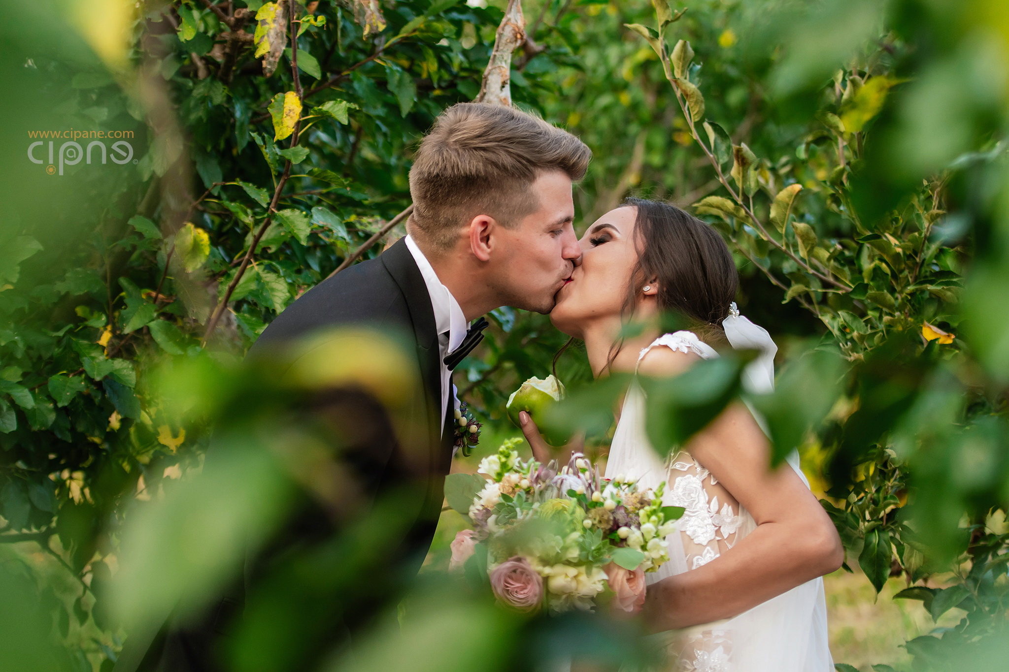 Alina & Cristian - 18 august 2018 - Brădești