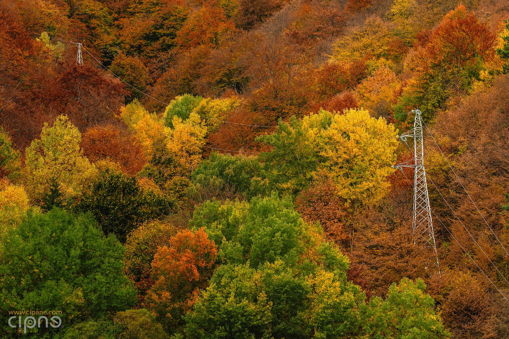 Where electricity comes from