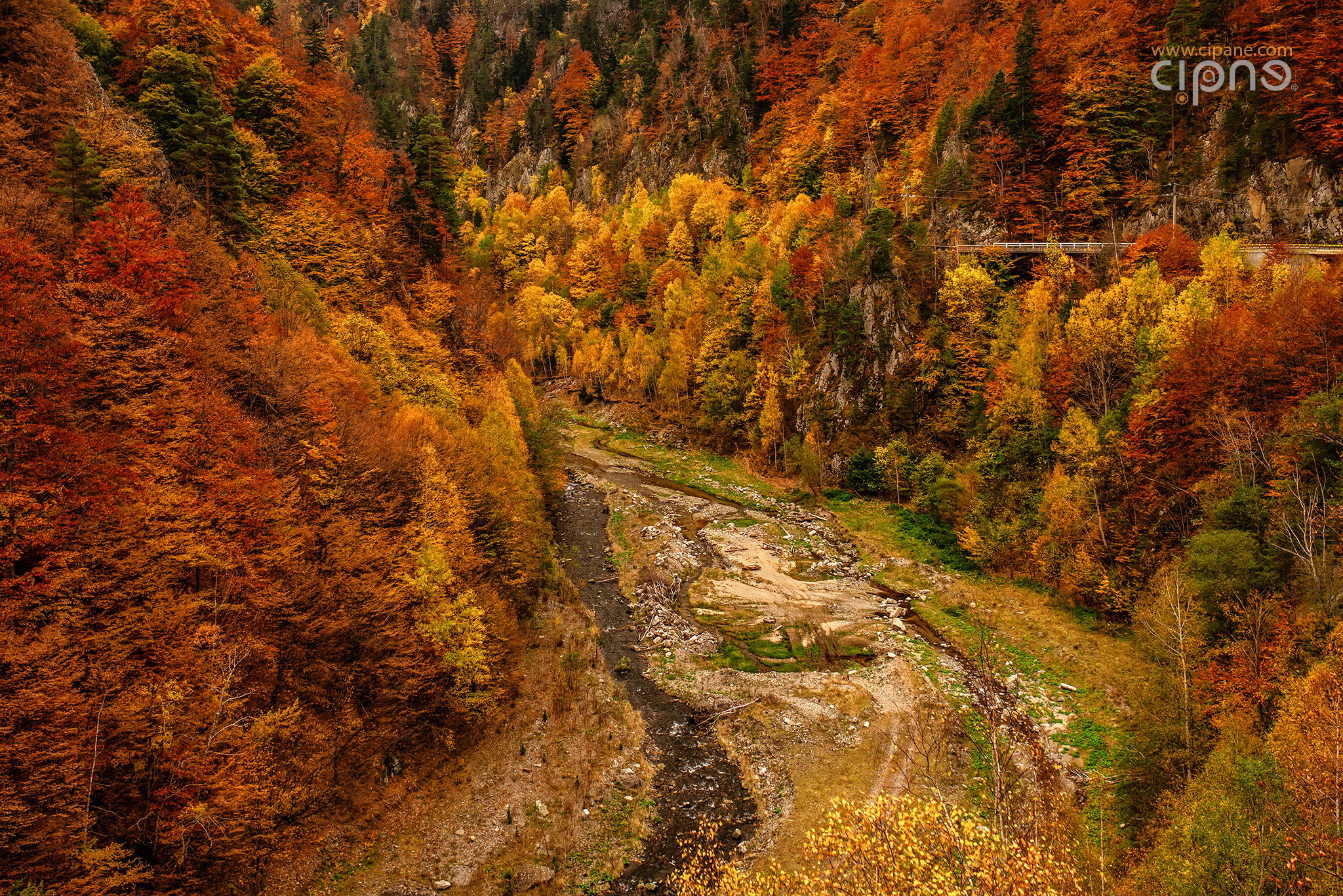 Down in the valley