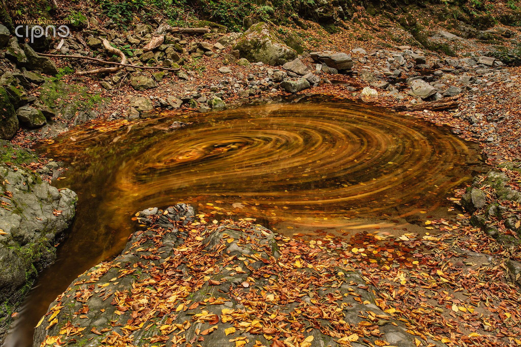 The magic pond