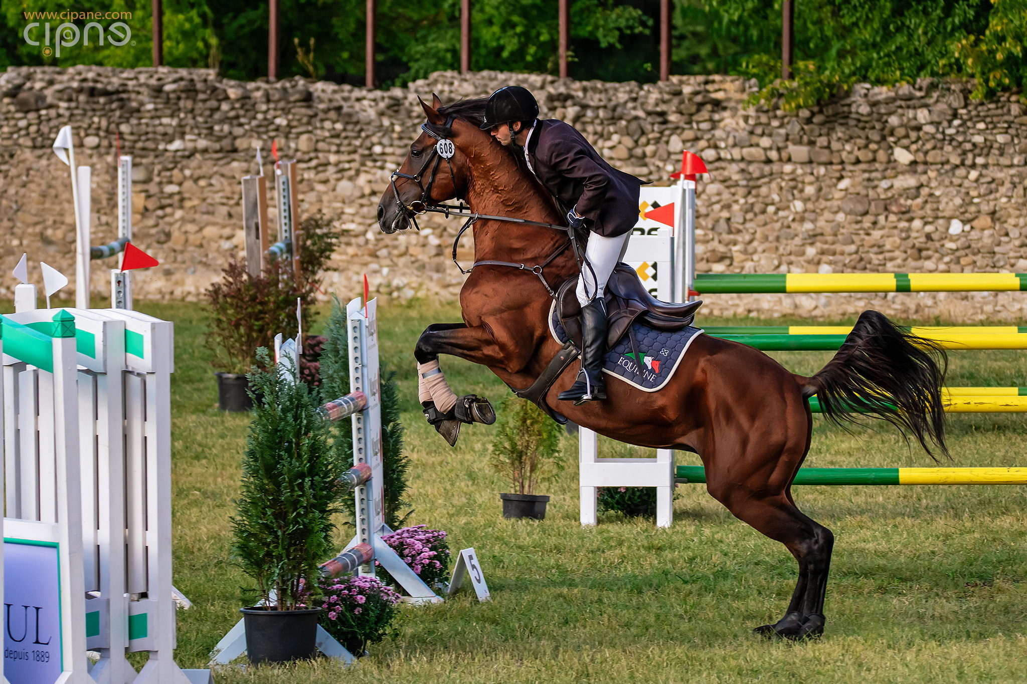My kingdom and a horse!