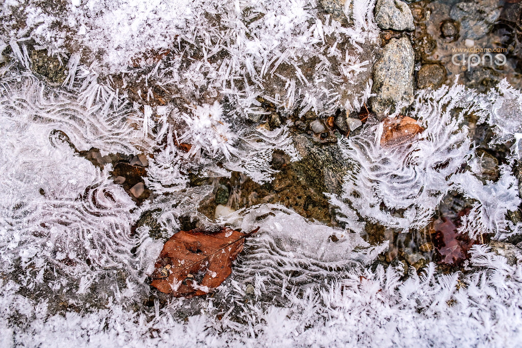 Winter was here