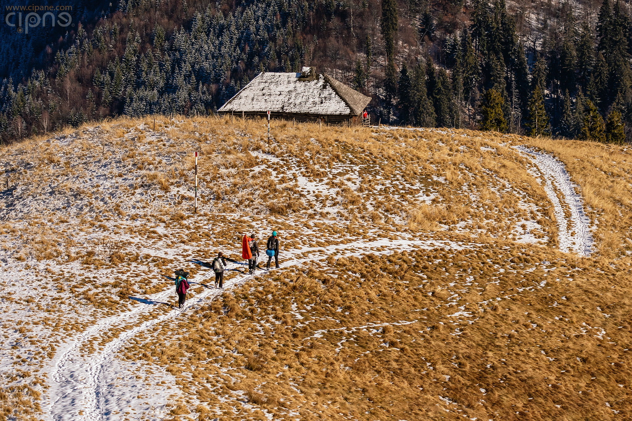 The way back home