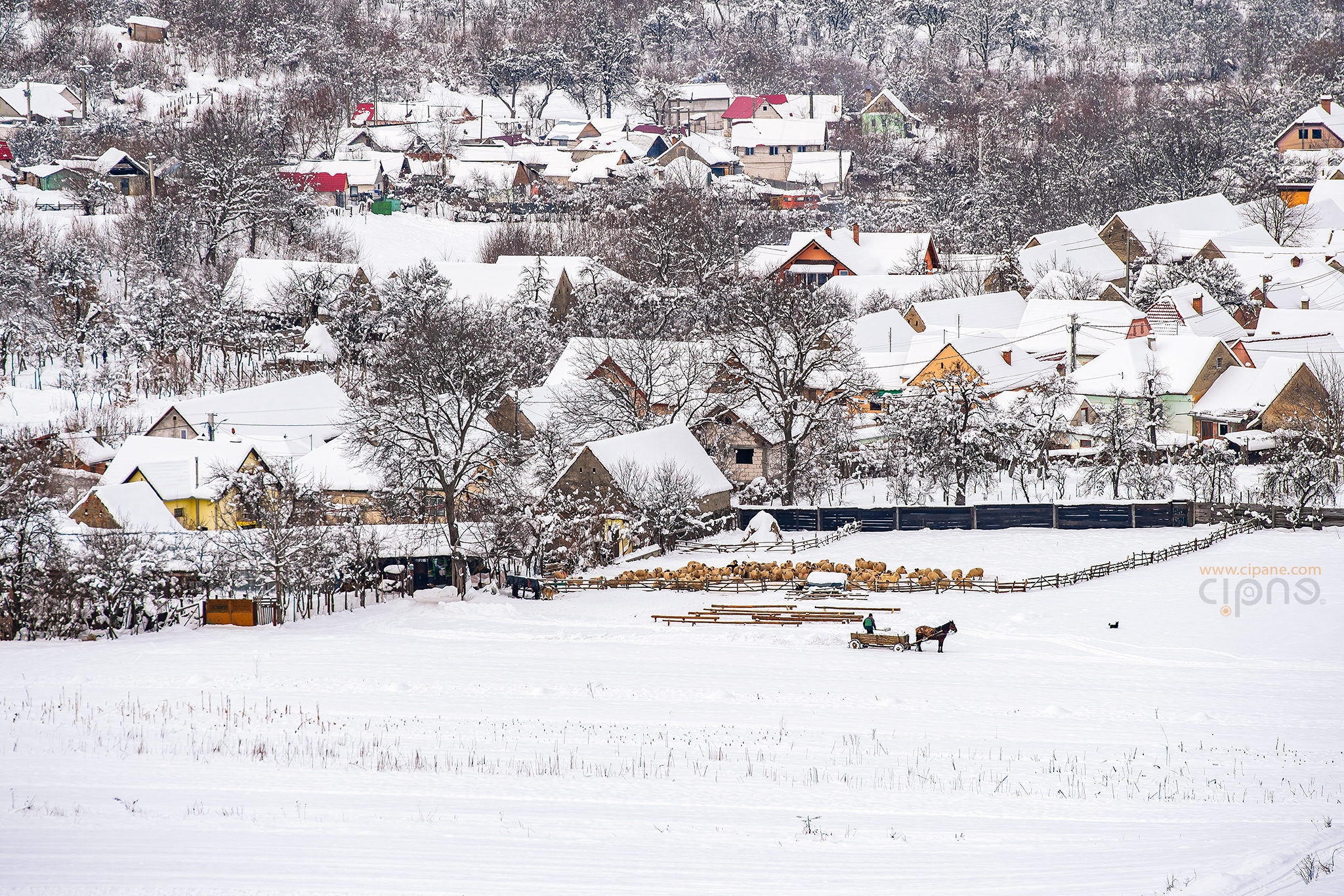 Peisagiu hivernal