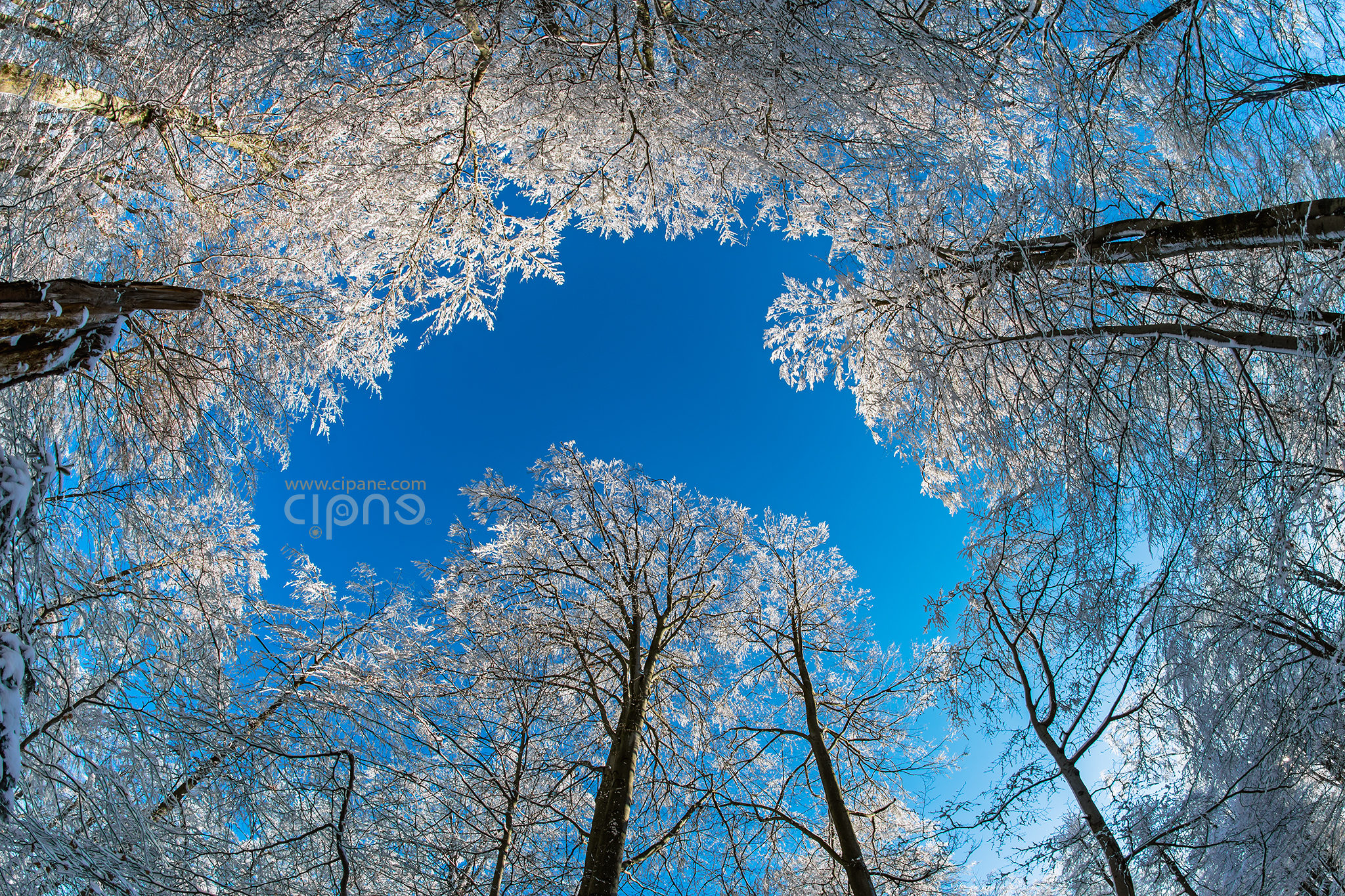 Map of the sky