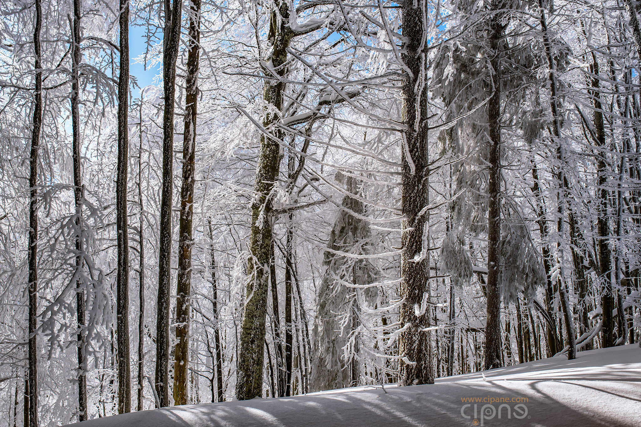 Velvet snow