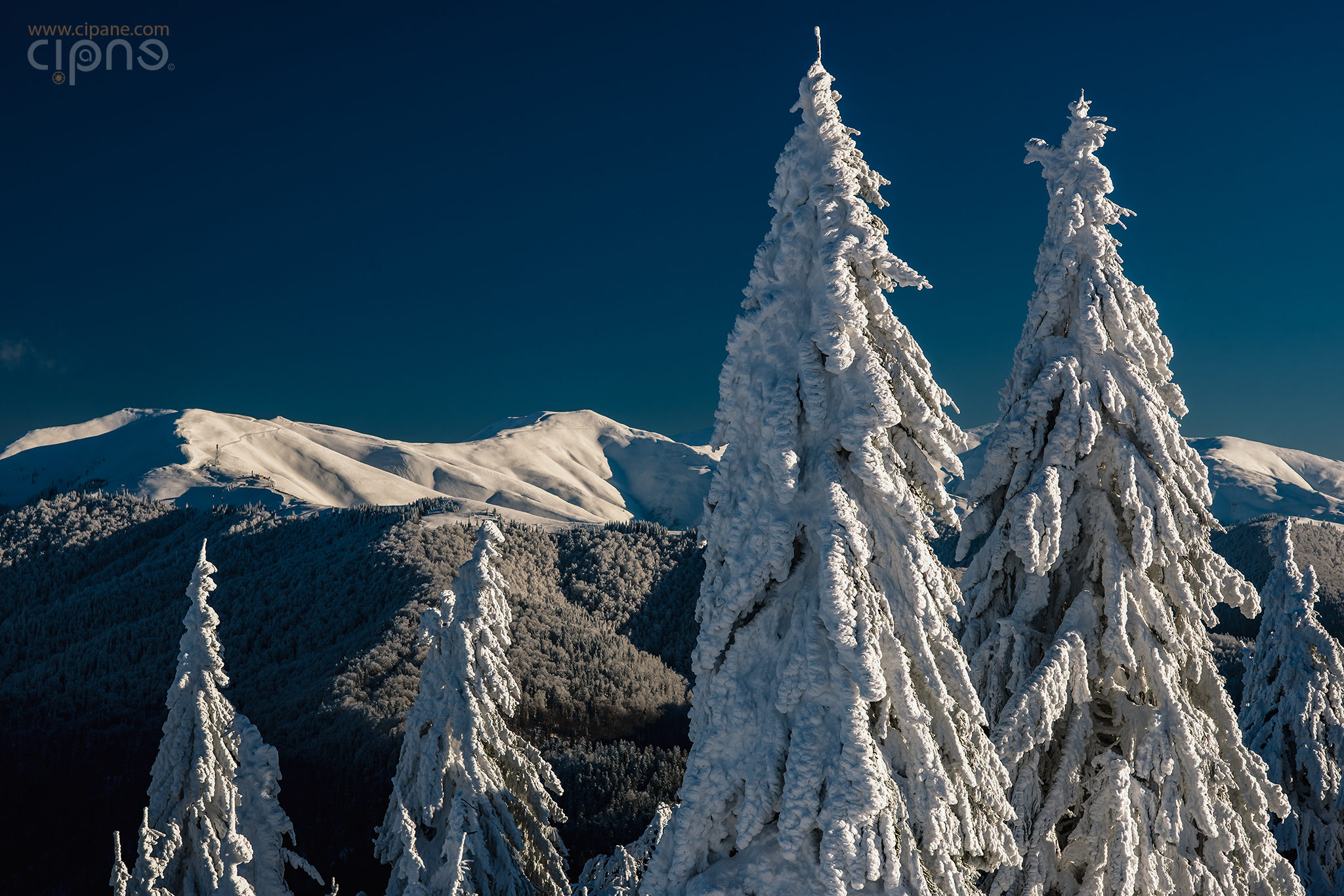 Longing to be the mountain