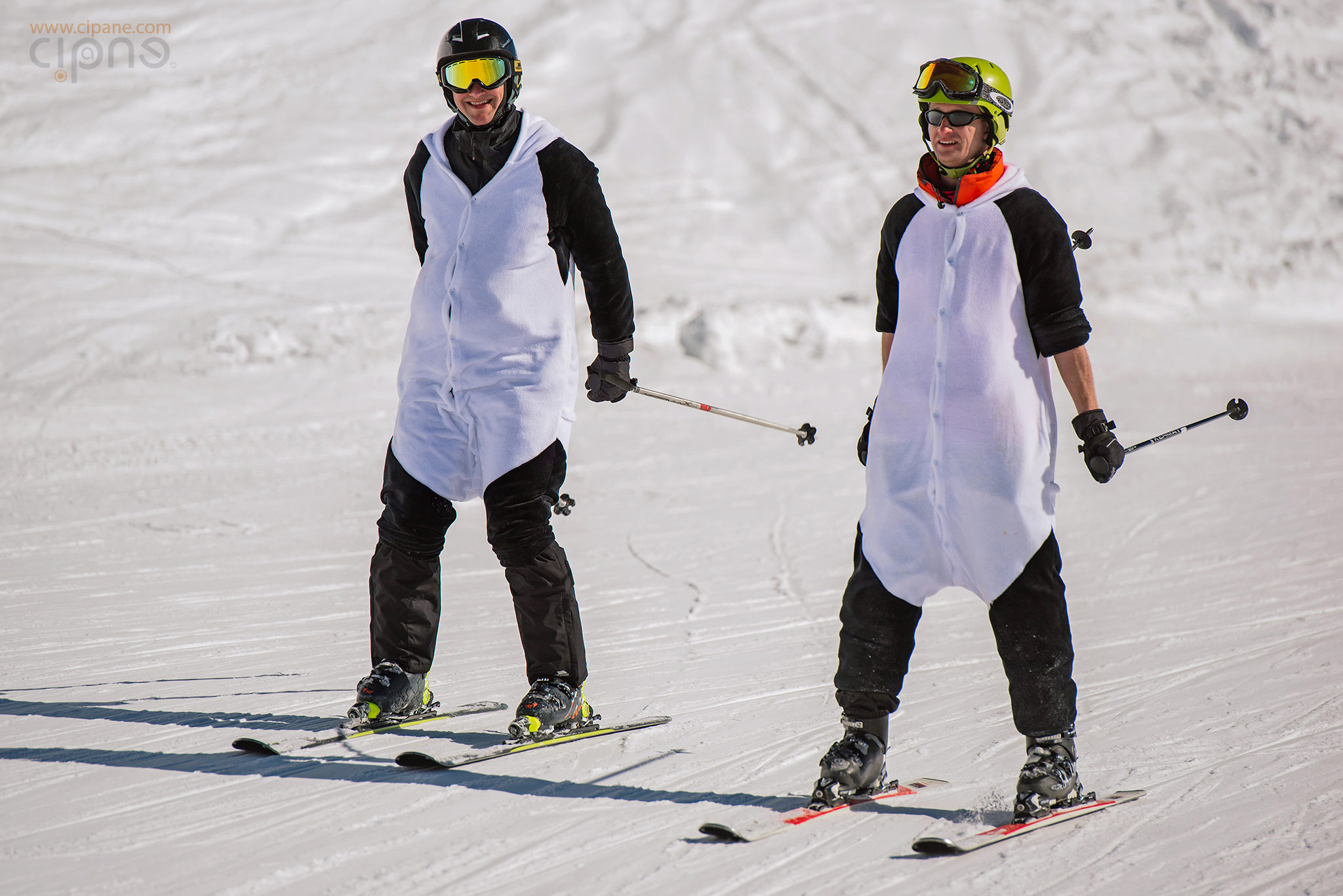 SnowFest Festival - 27 martie 2019 - Les 2 Alpes, France