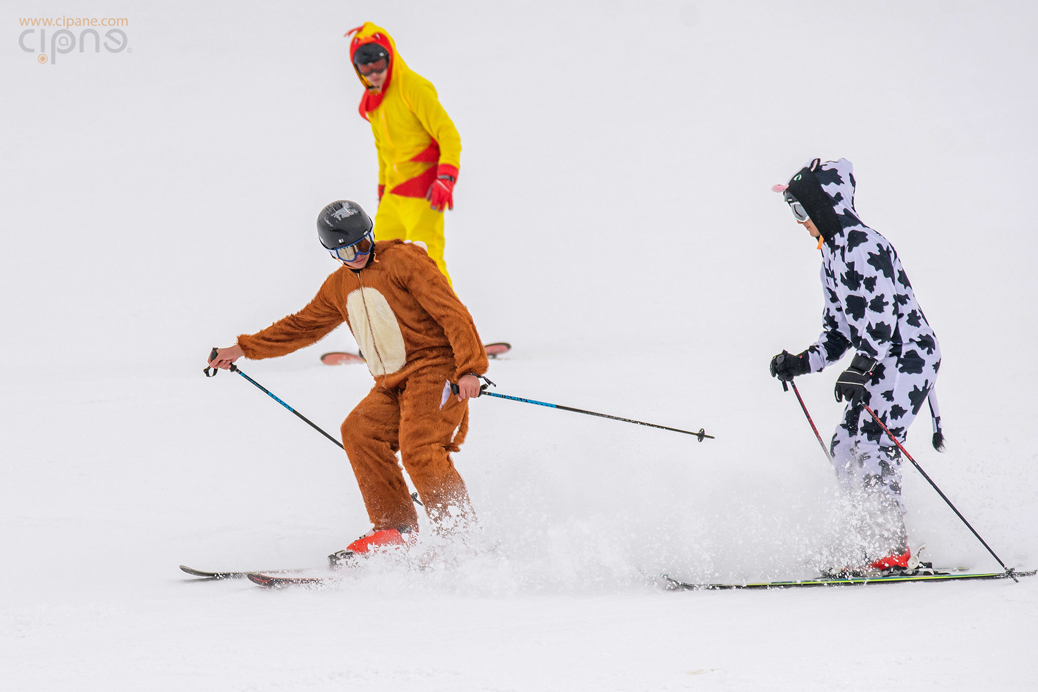 SnowFest Festival - 3 aprilie 2019 - Val Thorens, France