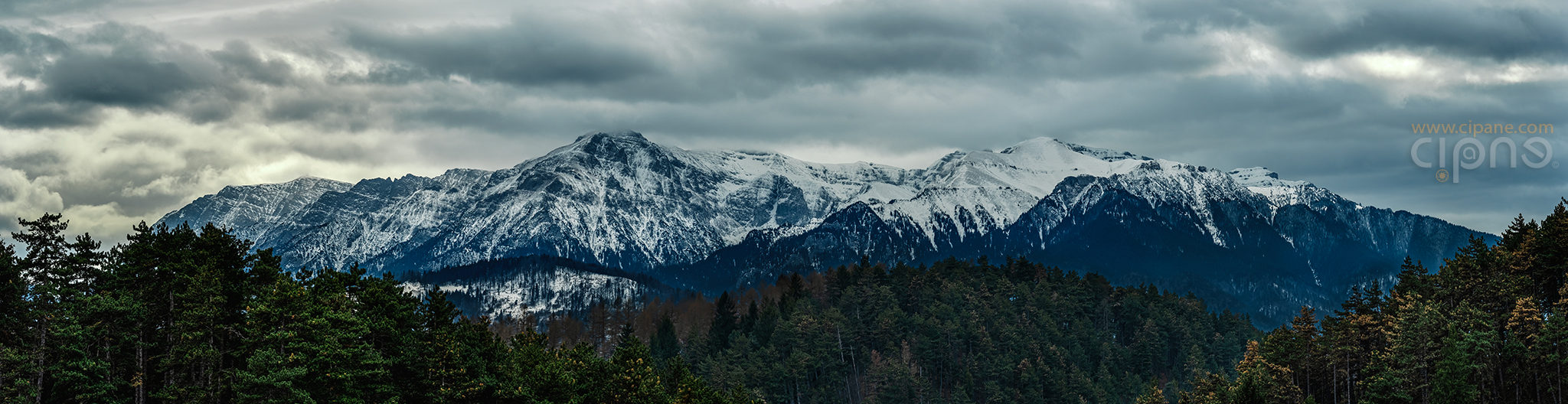 România semi-sălbatică